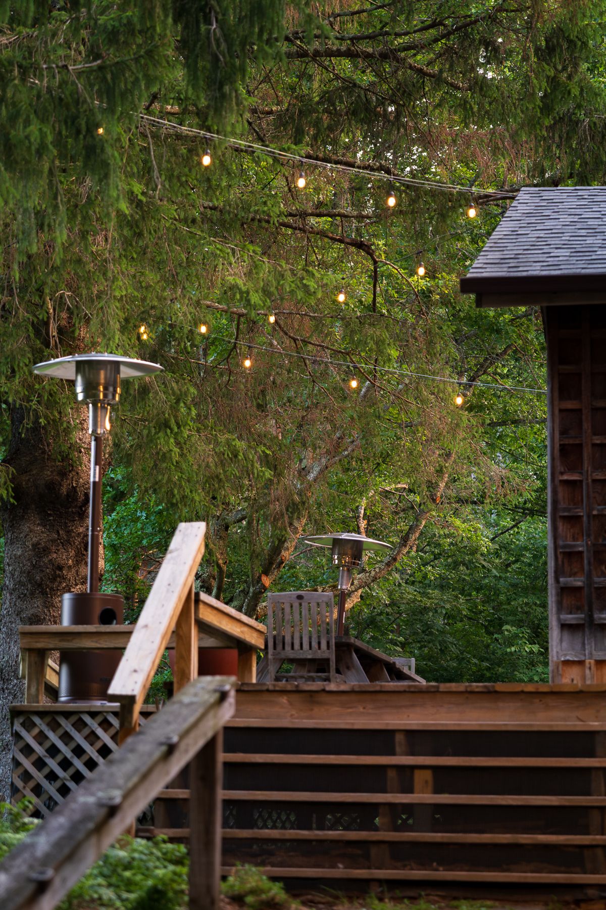Norwegian Woods photo 3