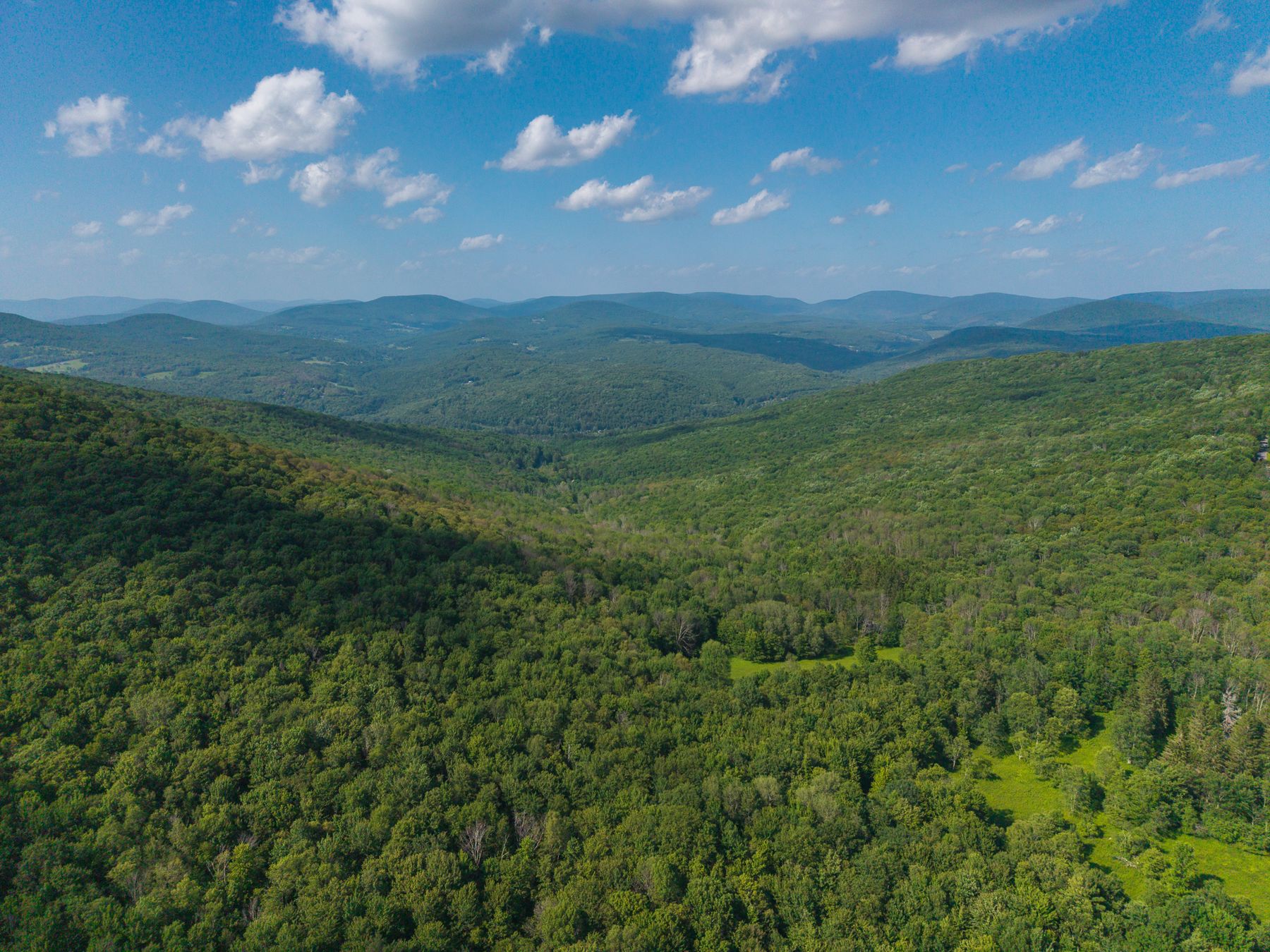 Norwegian Woods aerial view 103