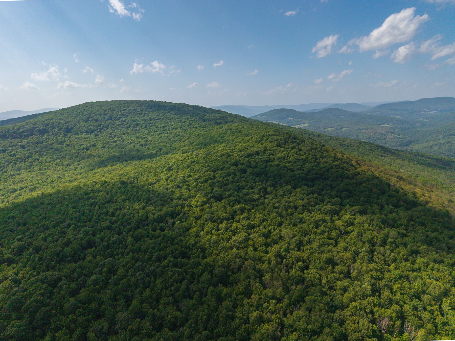 Norwegian Woods aerial view 97