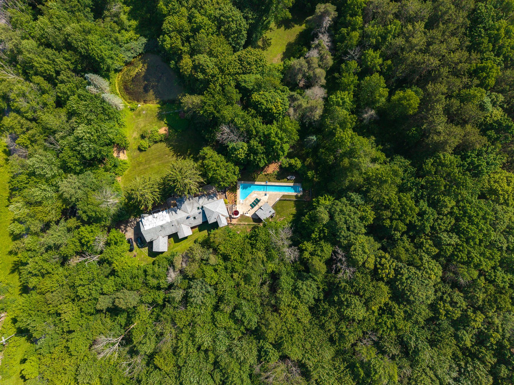 Norwegian Woods aerial view 123