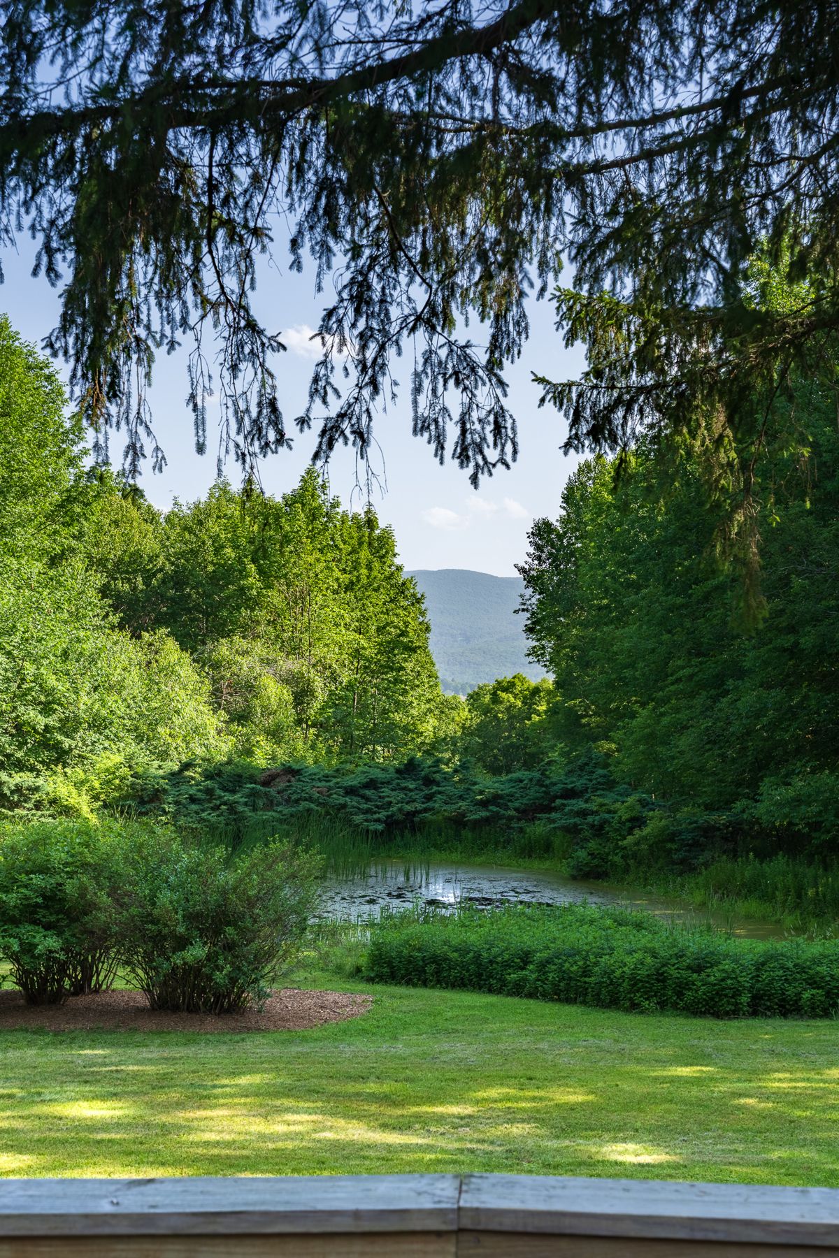 Norwegian Woods photo 89