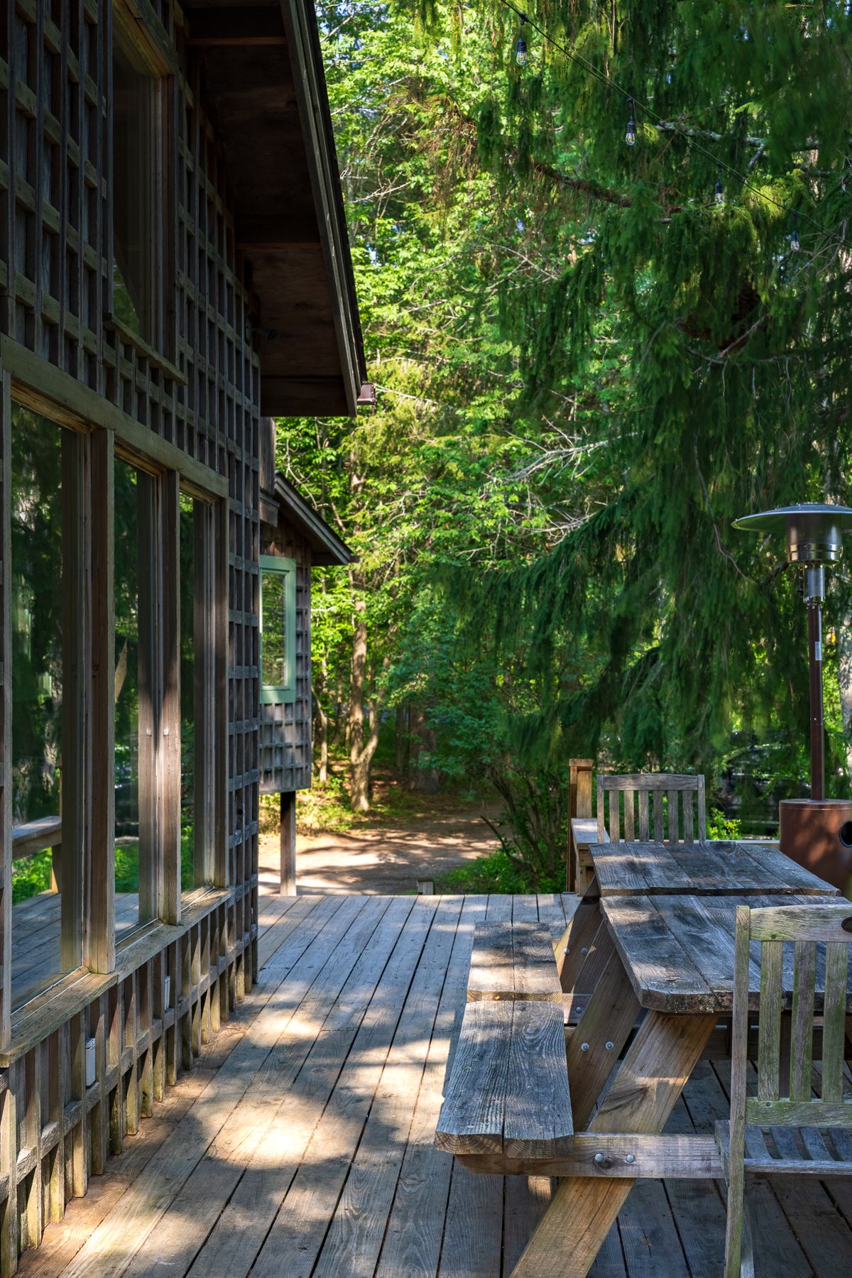 Norwegian Woods photo 90