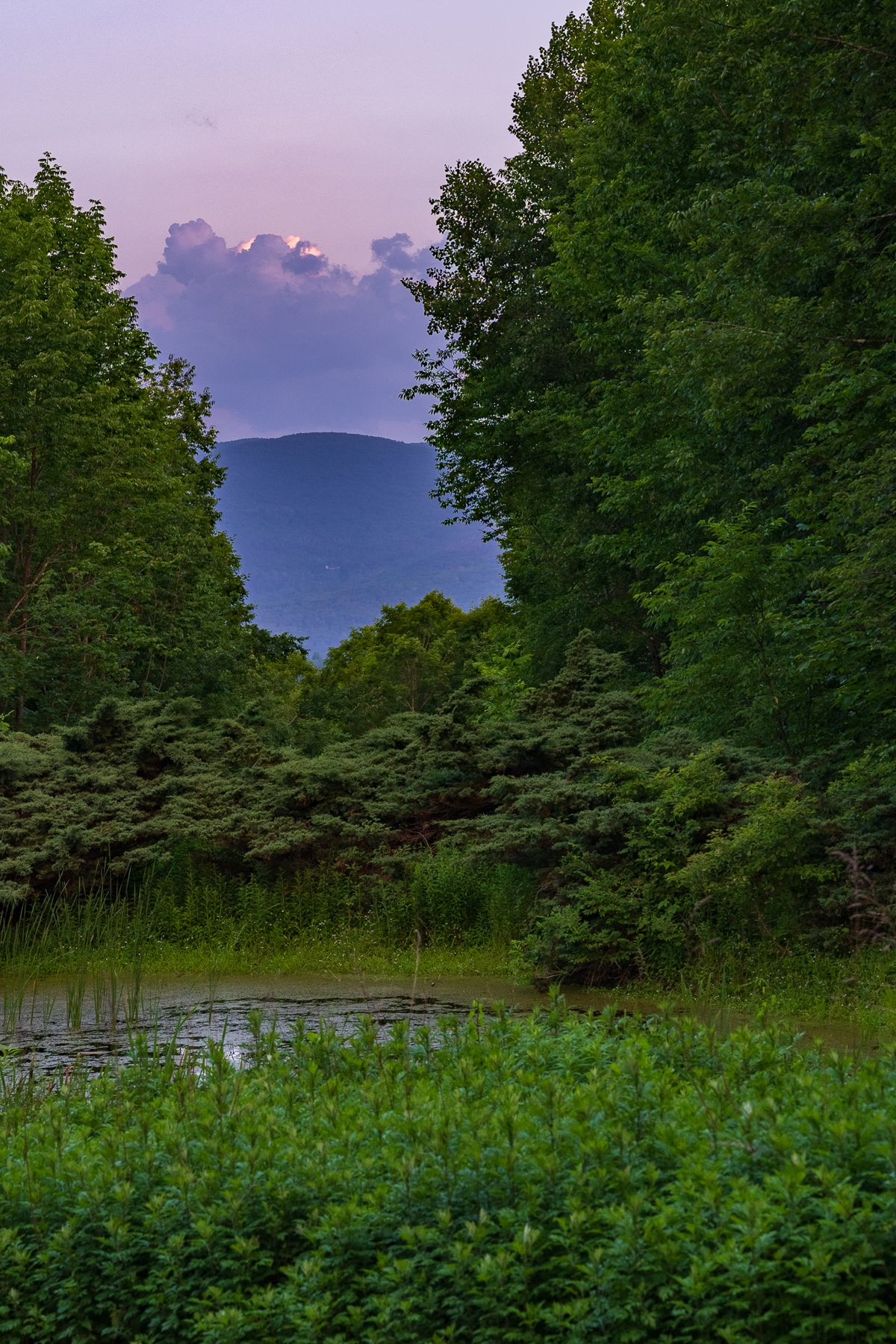 Norwegian Woods photo 4